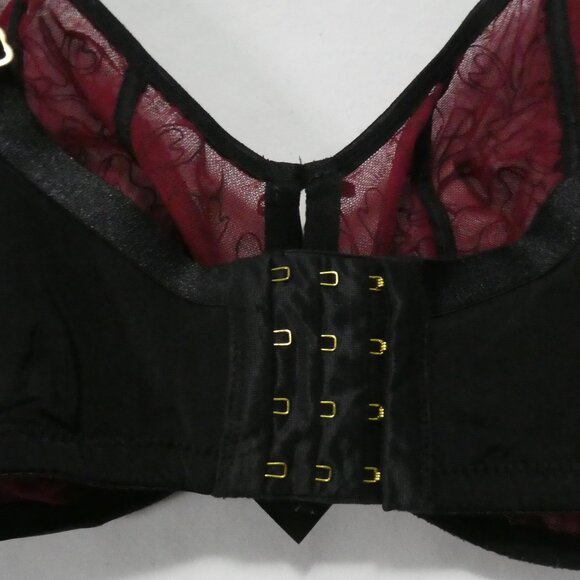 AG - ASHLEY GRAHAM | 40 DDD | Burgundy and Black Lace Accented Bra - Picture 10 of 16